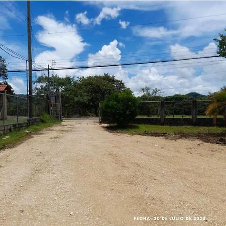 Hospedaje Angela Hotel Nicoya Kültér fotó